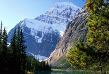 艾斯-贝利想要成为队中头号选择，奇才是他最想去的球队之一