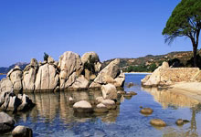 花呗恭喜亚历山大带领雷霆拿下NBA总冠军！